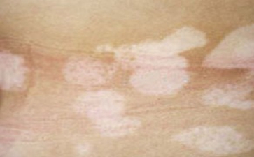 ����İ����������Щ